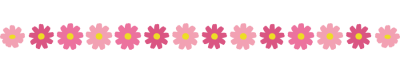 9月ライン(コスモス)