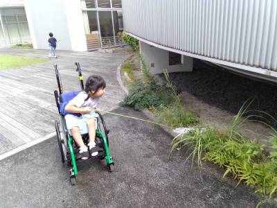 草むらの中に虫取り網を入れ、虫を探しています。