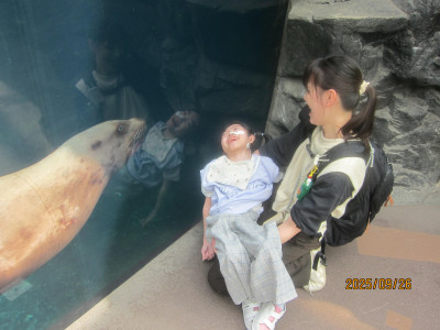 トドにあいさつしました